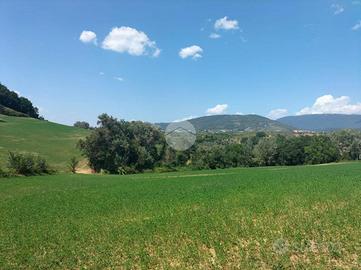 TER. AGRICOLO A TARANO