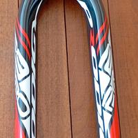 forcella in carbonio rigida per MTB 