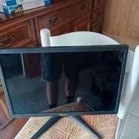 Monitor 19 Pollici