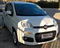fiat-panda-1-2-easy-69cv-2018