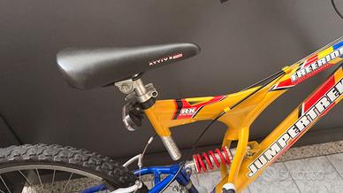Bicicletta 24
