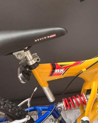 Bicicletta 24