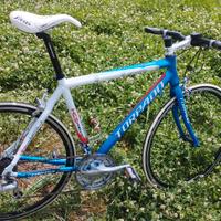 Bicicletta Torpado Arwin KCS T720 Superleggera
