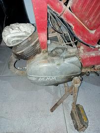 Altro Altro modello - 1770