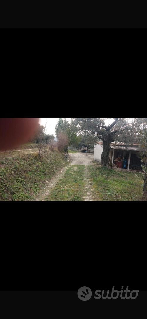 Terreno agricolo - Vista 4