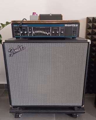 testata e cassa per basso