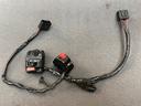 blocchetti-luce-triumph-speedtriple-955