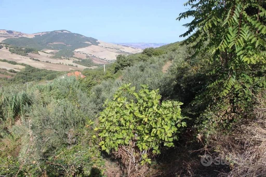 Immobile in asta di 159 m² a Casacalenda - Vista 3