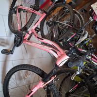 bici donna mountain bike
