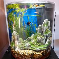 Acquario Tetra Curvo 60L