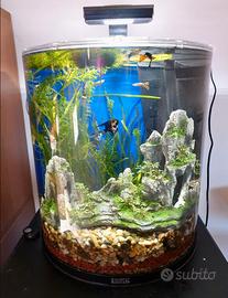 Acquario Tetra Curvo 60L