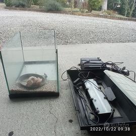 Acquario 30x30x50