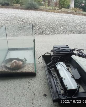 Acquario 30x30x50