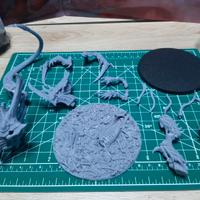 proxy norn emissary 3d printed 