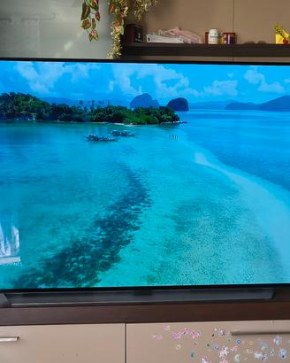 Tv LG Oled 77 Pollici 