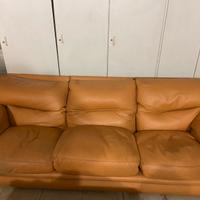 Coppia di divani Frau