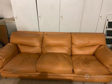 Coppia di divani Frau