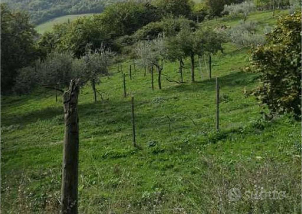 Immobile in asta di 54494 m² a Barberino di Mugell - Vista 3