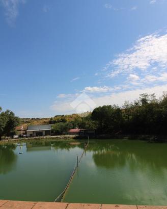 RUSTICO A BUSSO