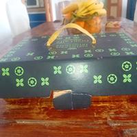 Contenitore di cartone