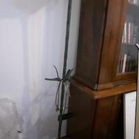 Piantana classica