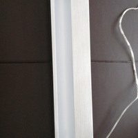 Lampada neon da parete