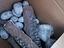Immagine 6