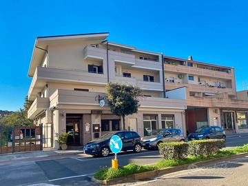 C.SO AMERICA: locale ARTIGIANALE 115 MQ