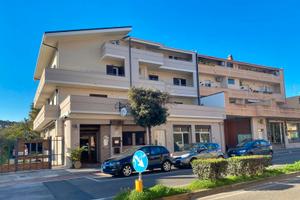 C.SO AMERICA: locale ARTIGIANALE 115 MQ