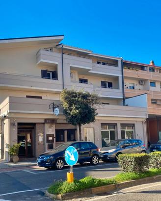 C.SO AMERICA: locale ARTIGIANALE 115 MQ