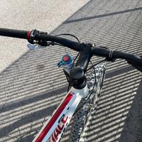 Cannondale monoforcella