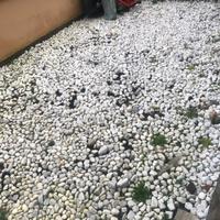 Ciottoli marmo di carrara