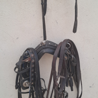 Finimento pony