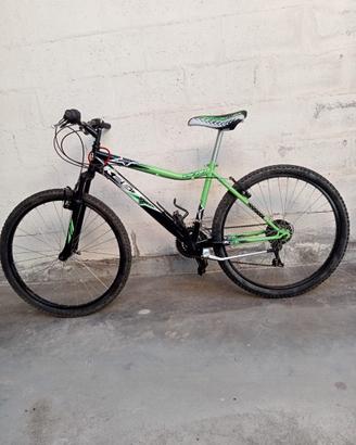 Mountain bike Vicini 26
