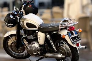 Triumph Bonneville T100 Fusion white / Aurum gold