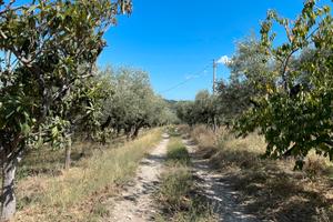 Terreno edificabile con progetto approvato