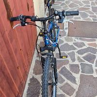 Bici mtb