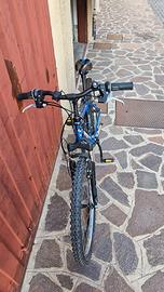 Bici mtb 