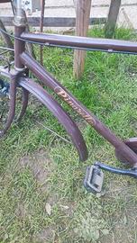 Pinarello da passeggio, telaio.