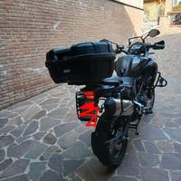benelli trk 502x