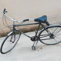 bici regina 