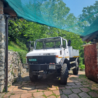 Unimog 1700 cassone pianale