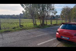 Suzuki swift sport 2008