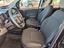 Immagine 9