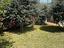 Immagine 9