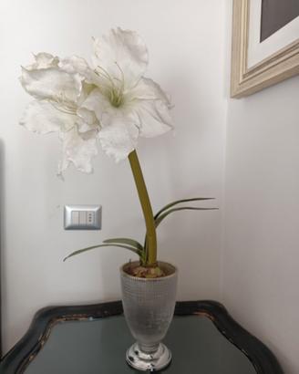 vaso soprammobile con orchidea