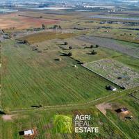 Terreno agricolo 7 HA con pozzo e magazzino