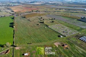 Terreno agricolo 7 HA con pozzo e magazzino