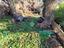 Immagine 26