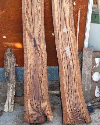 tavole  legno roverella